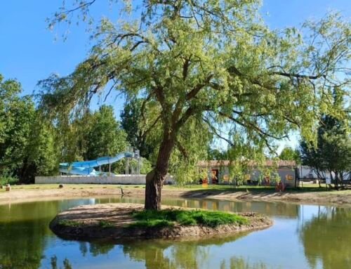 Emplacements VIP bord de l’eau