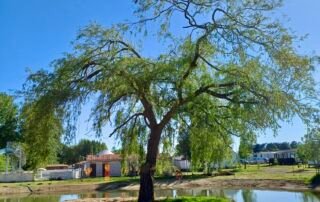 Plan_deau_camping_obeaulaurier